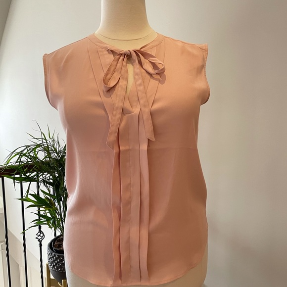 Ann Taylor Pale Peachy Pink Sheer Blouse size Large - Picture 7 of 7